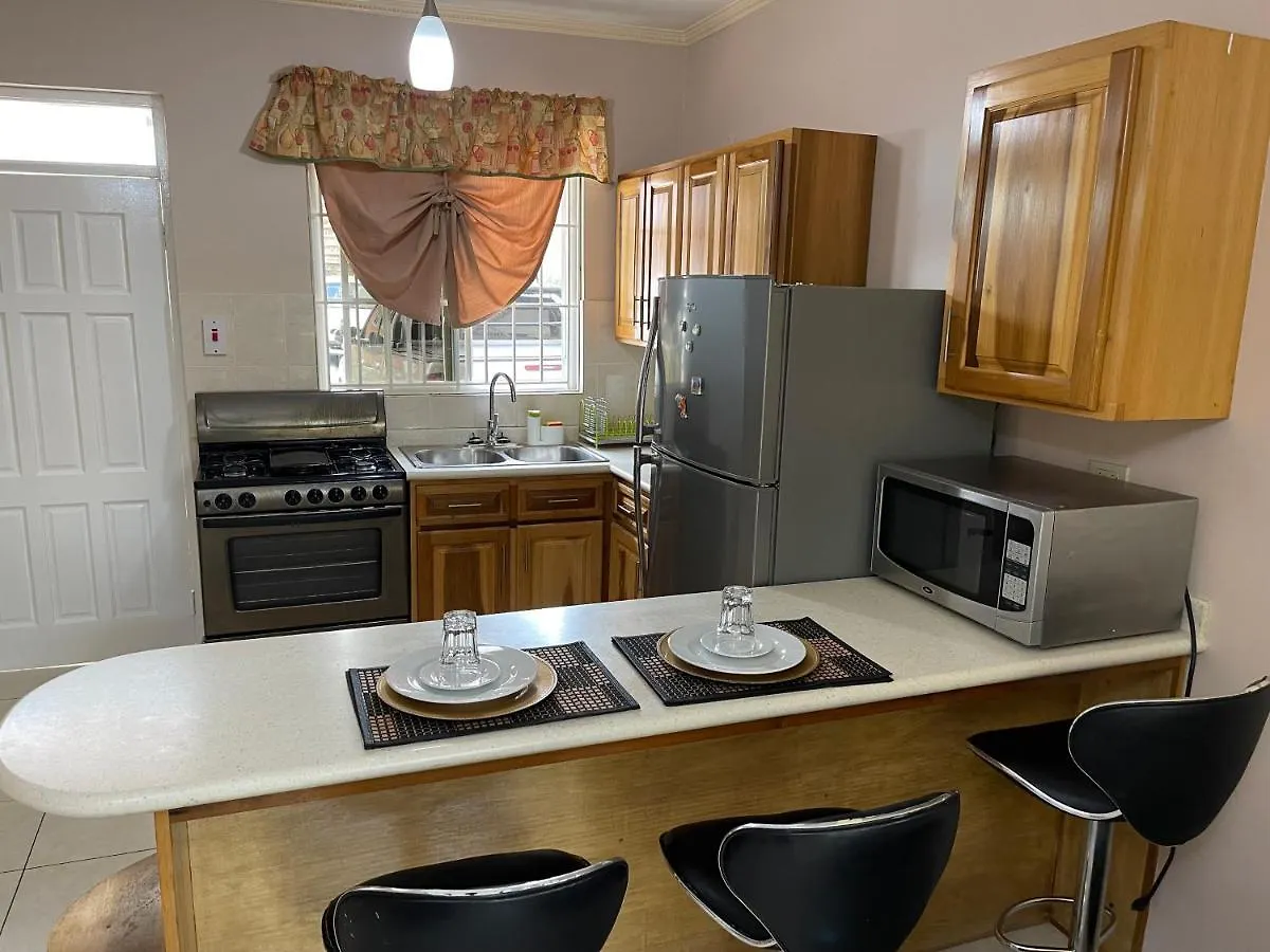 Apartment Kingstons Finest - Centrally Elegant Jamaica
